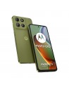 Iguana Green